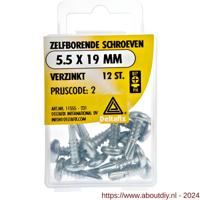Zelfb.schroef 5.5x19mm verz 12st - Deltafix