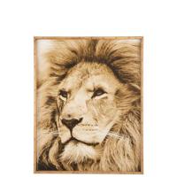 J-Line - J-Line Wanddecoratie Leeuw Hout Glas Bruin - 100x81 CM - thumbnail