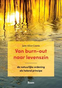 Van burn-out naar levenszin (Paperback)