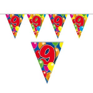 9 jaar Leeftijd versiering vlaggenlijn - vlaggetjes - verjaardag - 10 meter - plastic