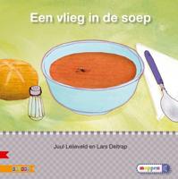Een vlieg in de soep (Hardback)
