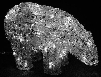 Beer met 50 ledlampen echt voor december Beer met 50 ledlampen echt voor december