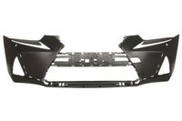 Bumper 5510008173903P