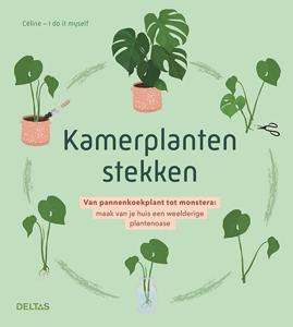 Kamerplanten stekken (Paperback)