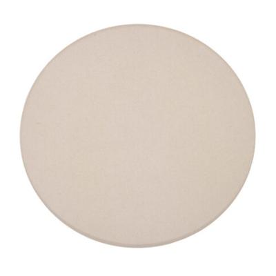 Broncolor Beschermglas mat