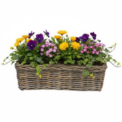 VD Leeden Plantenmand Klassiek - bruin - rechthoek?- 60 x 23 x 20 cm - rotan - gevlochten riet