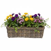VD Leeden Plantenmand Klassiek - bruin - rechthoek?- 60 x 23 x 20 cm - rotan - gevlochten riet