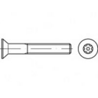 TOOLCRAFT TO-5380317 Veiligheidsschroeven M6 35 mm Binnen-T 88117 RVS A2 100 stuk(s) - thumbnail