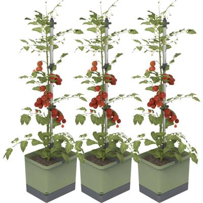 Gusta Garden TOM TOMATO 3er-Set dunkelgrün / W07074 Plantcontainer
