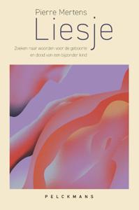Liesje (Paperback)