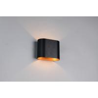 Trio OpbouwspotAlani zwart met goud - 266100180