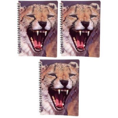 3x stuks luipaard schrift 3D 21cm