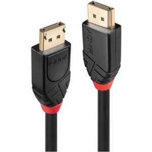 Lindy 41078 DisplayPort kabel 10 m Zwart