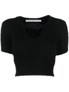 Alexander Wang chain-detail cropped knitted top - Noir