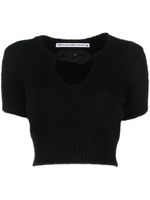 Alexander Wang chain-detail cropped knitted top - Noir - thumbnail