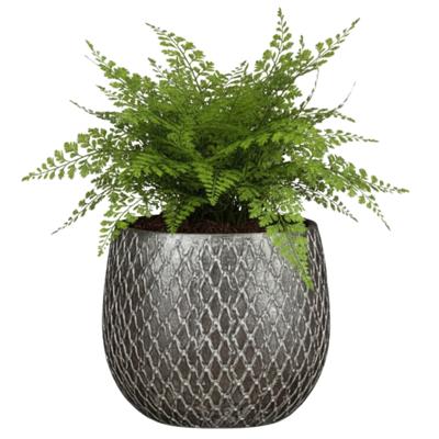 Mica decorations Bloempot / plantenpot Madeira - zilver - terracotta - 16 cm - schubbenpatroon