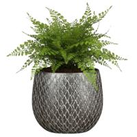 Mica decorations Bloempot / plantenpot Madeira - zilver - terracotta - 16 cm - schubbenpatroon