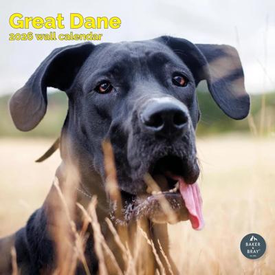 Duitse Dog Kalender 2026