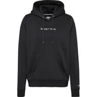 Reg Serif Linear Hoodie - thumbnail