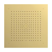 Hansgrohe Raindance E hoofddouche 400/400 1jet EcoSmart, Polished Gold-Optic