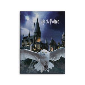 Harry Potter Fleece plaid Hedwig 100 x 140 cm