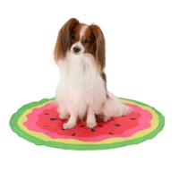 Adori Koelmat Watermeloen Groen/Rood 60x60cm