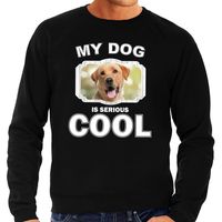 Honden liefhebber trui / sweater Labrador retriever my dog is serious cool zwart voor heren - thumbnail