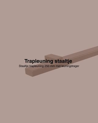Staaltje trapleuning rechthoekig 40x20mm brons