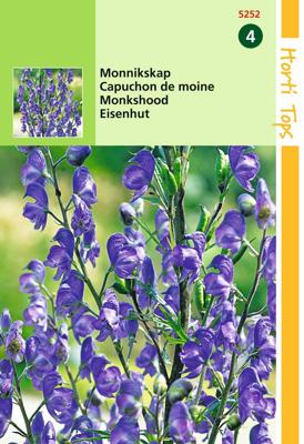 Aconitum Napellus Monnikskap - Hortitops