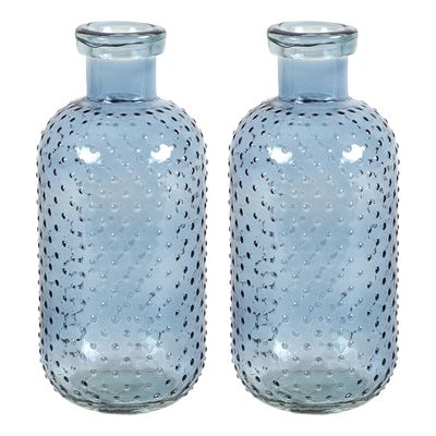 Bloemenvaas Cactus Dots - 2x - blauw transparant - glas - D11 x H24 cm