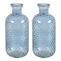 Bloemenvaas Cactus Dots - 2x - blauw transparant - glas - D11 x H24 cm