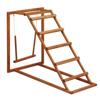 Gaun Chicken Activity Center