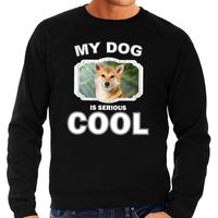 Shiba inu honden sweater / trui my dog is serious cool zwart voor heren