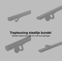 Trapleuning staaltjes bundel zwart - per stuk