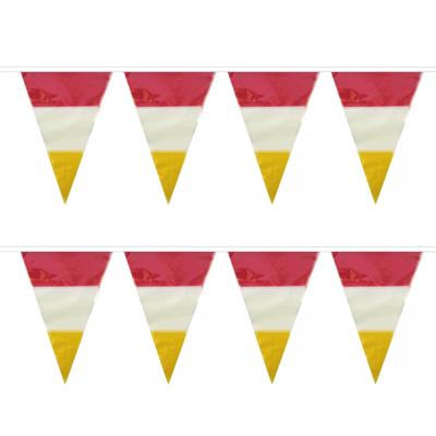 Den Bosch kleuren carnaval vlaggetjes - 2x - 10 meter - plastic - rood-wit-geel - versieringen