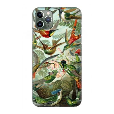 Haeckel Trochilidae: Volledig geprint iPhone 11 Pro Max Hoesje