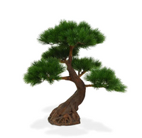 DesignPlants: Pinus Bonsai Deluxe Kunstplant 80cm - Groen