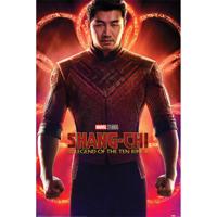 Poster Shang-Chi and the Legend of the Ten Rings Flex 61x91,5cm - thumbnail
