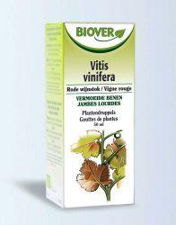 Biover Vitis vinifera bio
