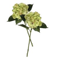 Kunstbloem Hortensia tak - 2x - groen - 51 cm - losse steel - Kunst zijdebloemen