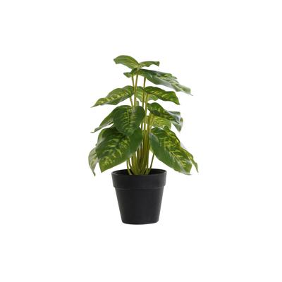 Decoratieve plant DKD Home Decor PVC Polypropyleen 20 x 20 x 30 cm