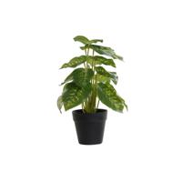 Decoratieve plant DKD Home Decor PVC Polypropyleen 20 x 20 x 30 cm