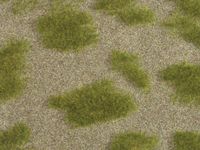 NOCH Grass Steppe schaalmodel onderdeel en -accessoire Gras - thumbnail