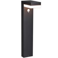 LED's Light RVS Solar LED Tuinlamp Paallamp met Bewegingssensor - Draadloos - 3 standen - Zwart LED's Light RVS Solar LED Tuinlamp Paallamp met Bewegingssensor - Draadloos - 3 standen - Zwart