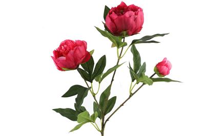 Paeonia kunststof 23x13x73 cm roze kunstbloem II - Countryfield