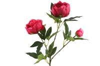 Paeonia kunststof 23x13x73 cm roze kunstbloem II - Countryfield
