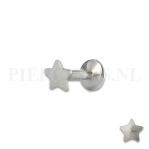 Labret 1.2 mm ster 6 mm