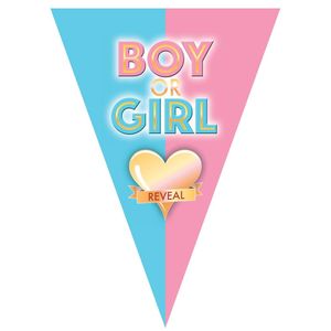 Gender reveal babyshower thema vlaggetjes slinger/vlaggenlijn van 5 meter