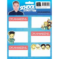 Dylan Haegens etiketten Team, 18 stuks