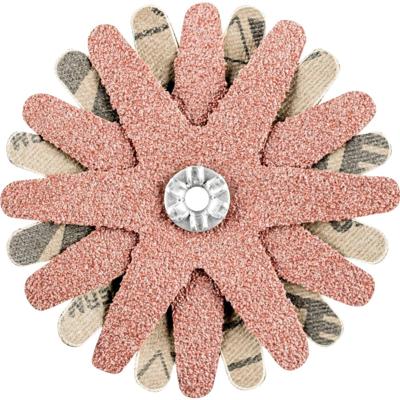 PFERD TOOLS 42732103 Schuursterren Diameter 70 mm 10 stuk(s)